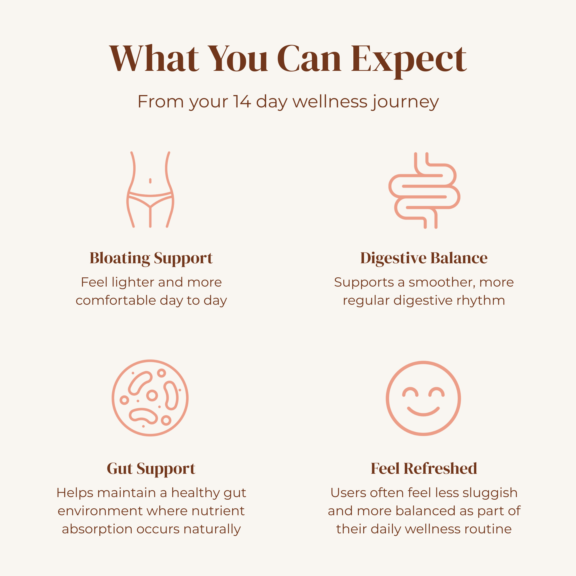 Gut + Colon Support