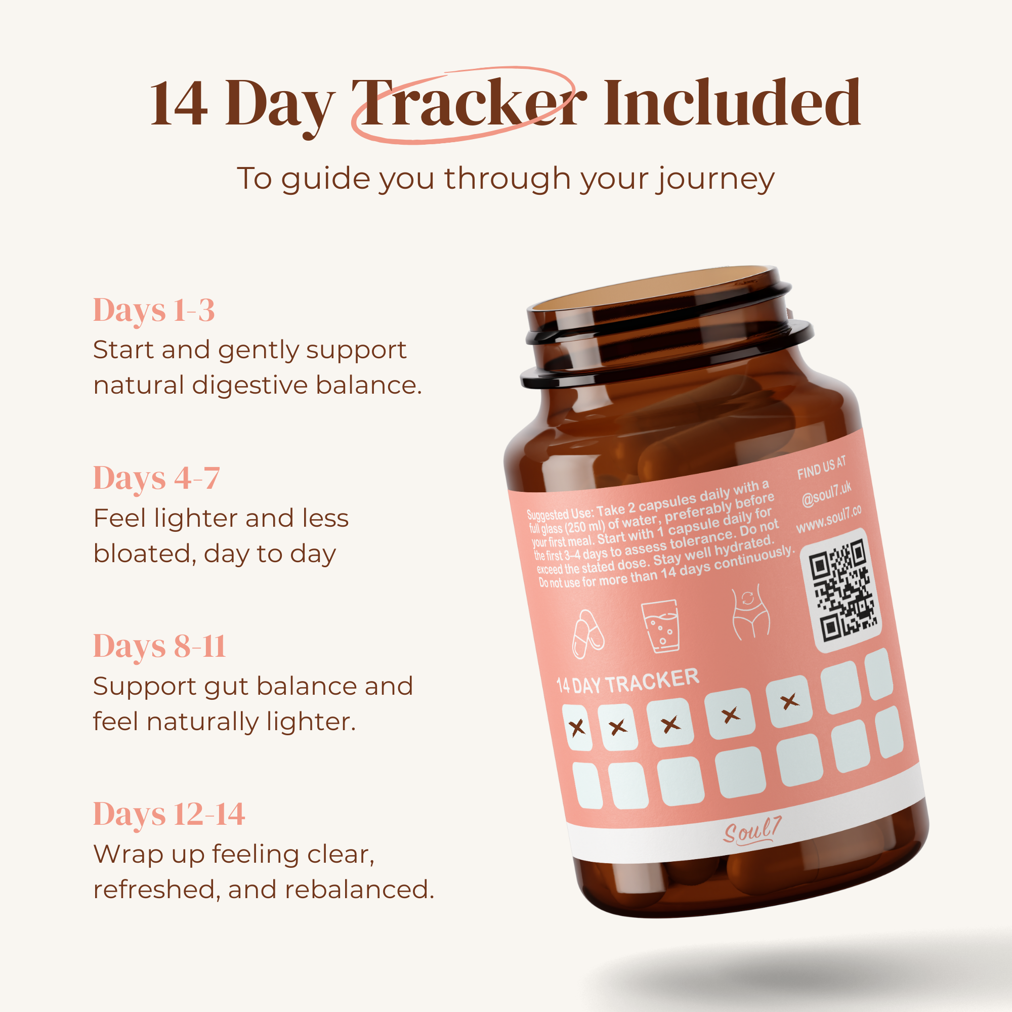 Gut + Colon Support